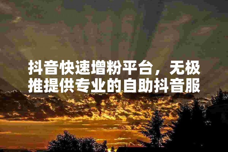抖音快速增粉平台，无极推提供专业的自助抖音服务。