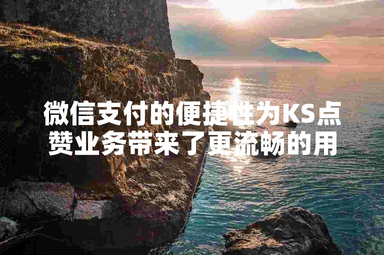 微信支付的便捷性为KS点赞业务带来了更流畅的用户操作体验,助力平台用户满意度显著提升。