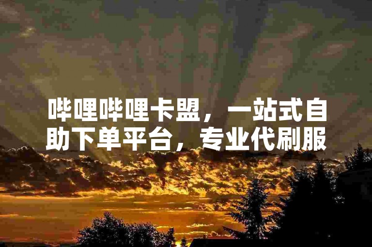哔哩哔哩卡盟，一站式自助下单平台，专业代刷服务，在线卡盟首选。