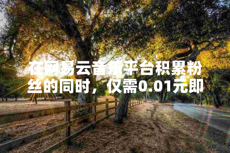 在网易云音乐平台积累粉丝的同时，仅需0.01元即可获得快手点赞服务，助您快速提升社交媒体影响力。