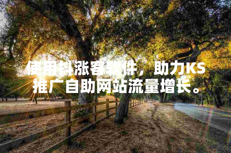使用抖涨客软件，助力KS推广自助网站流量增长。