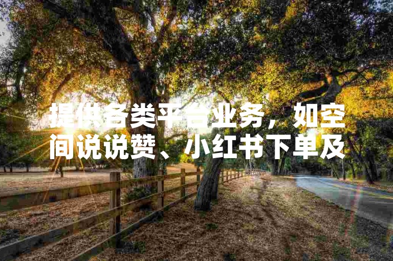 提供各类平台业务，如空间说说赞、小红书下单及抖音快手充值等。