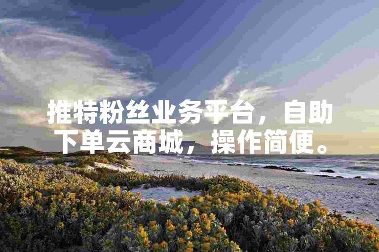 推特粉丝业务平台,自助下单云商城,操作简便。