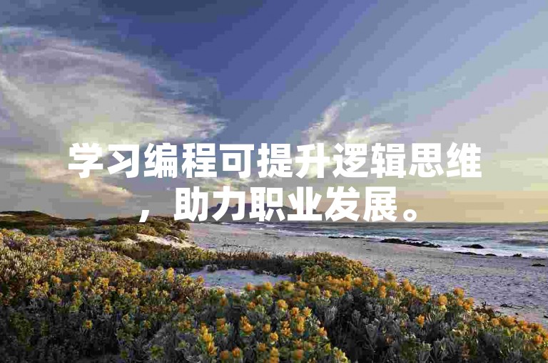 学习编程可提升逻辑思维，助力职业发展。