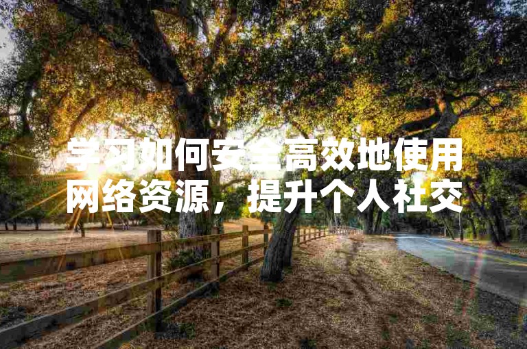 学习如何安全高效地使用网络资源，提升个人社交媒体影响力。