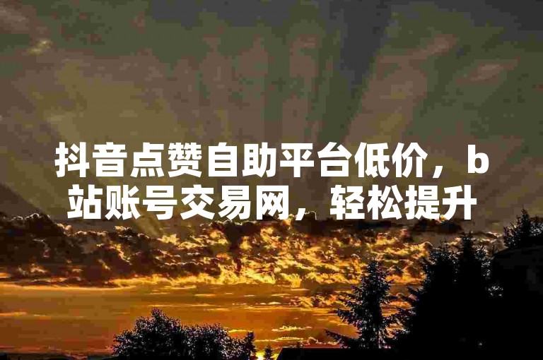 抖音点赞自助平台低价，b站账号交易网，轻松提升社交影响力。