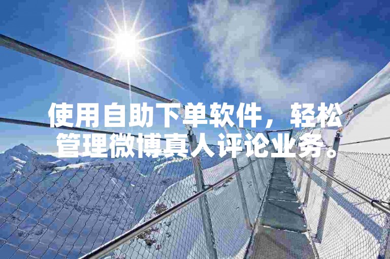 使用自助下单软件，轻松管理微博真人评论业务。
