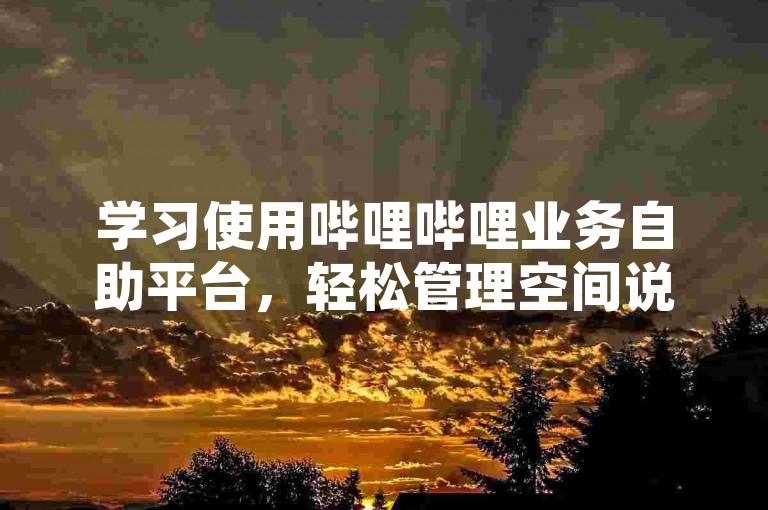 学习使用哔哩哔哩业务自助平台，轻松管理空间说说赞。