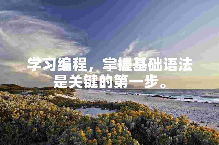 学习编程，掌握基础语法是关键的第一步。