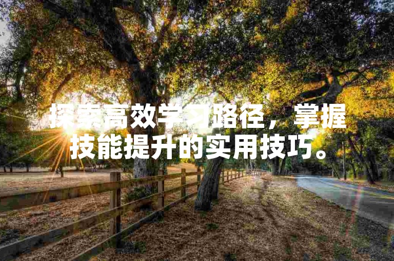 探索高效学习路径，掌握技能提升的实用技巧。