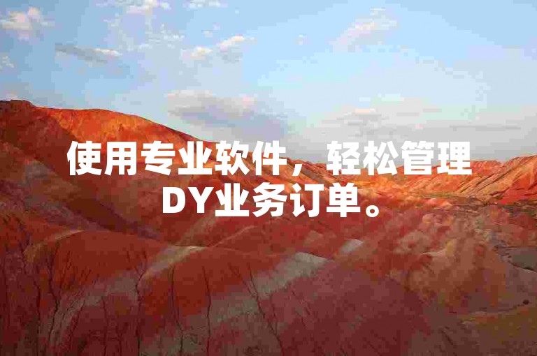 使用专业软件，轻松管理DY业务订单。