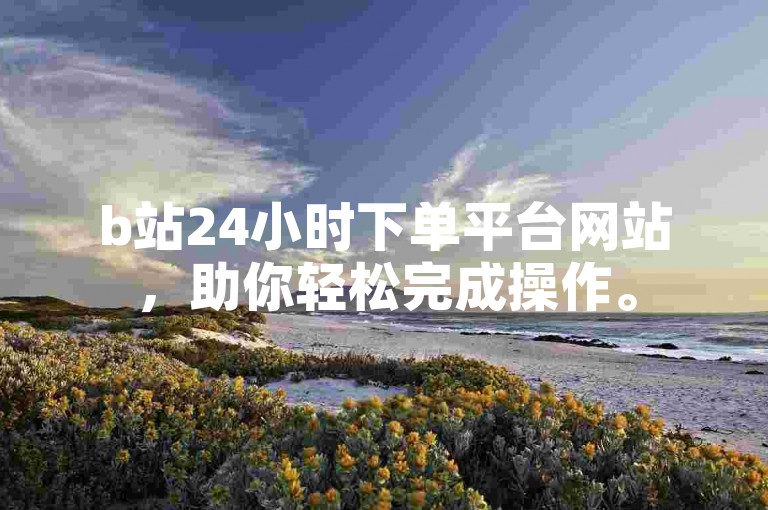 b站24小时下单平台网站，助你轻松完成操作。