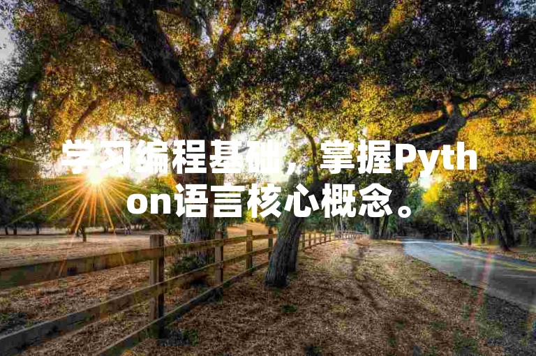 学习编程基础，掌握Python语言核心概念。