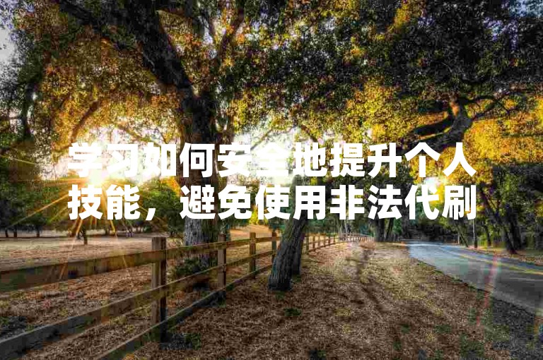 学习如何安全地提升个人技能，避免使用非法代刷服务。