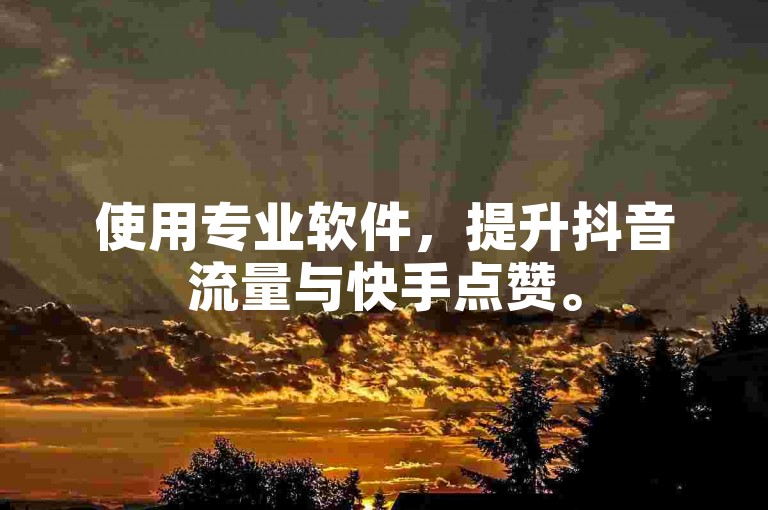 使用专业软件，提升抖音流量与快手点赞。