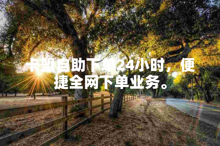 卡盟自助下单24小时，便捷全网下单业务。