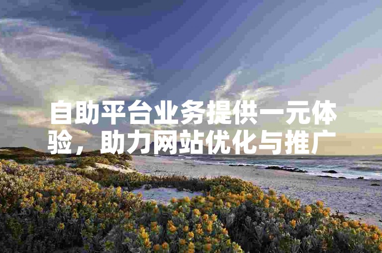 自助平台业务提供一元体验，助力网站优化与推广。