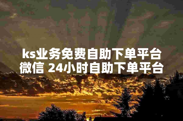 ks业务免费自助下单平台微信 24小时自助下单平台业务拼多多
