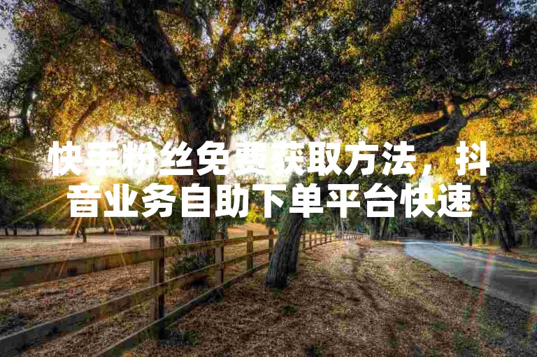 快手粉丝免费获取方法，抖音业务自助下单平台快速操作指南。