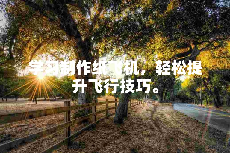 学习制作纸飞机，轻松提升飞行技巧。