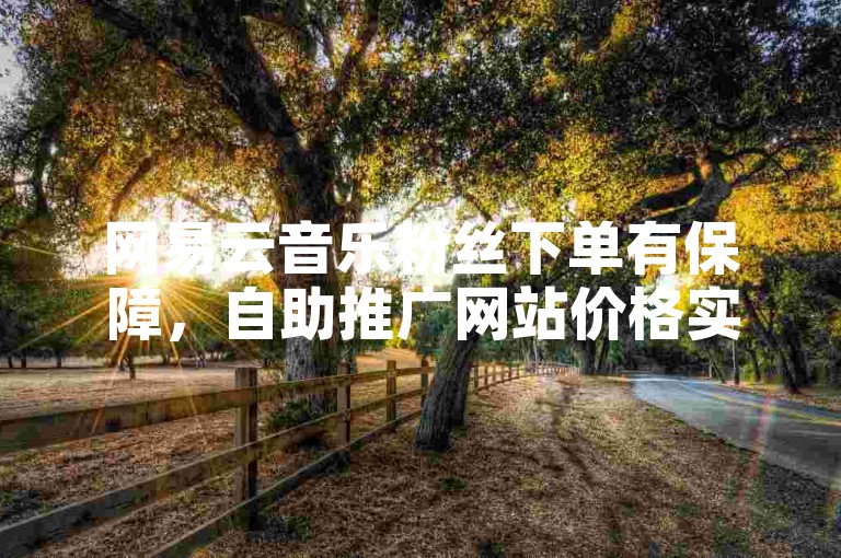 网易云音乐粉丝下单有保障，自助推广网站价格实惠。