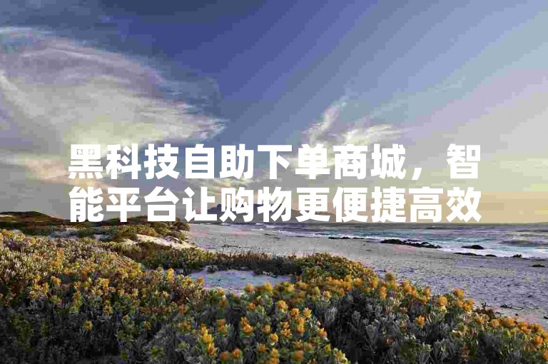 黑科技自助下单商城，智能平台让购物更便捷高效。