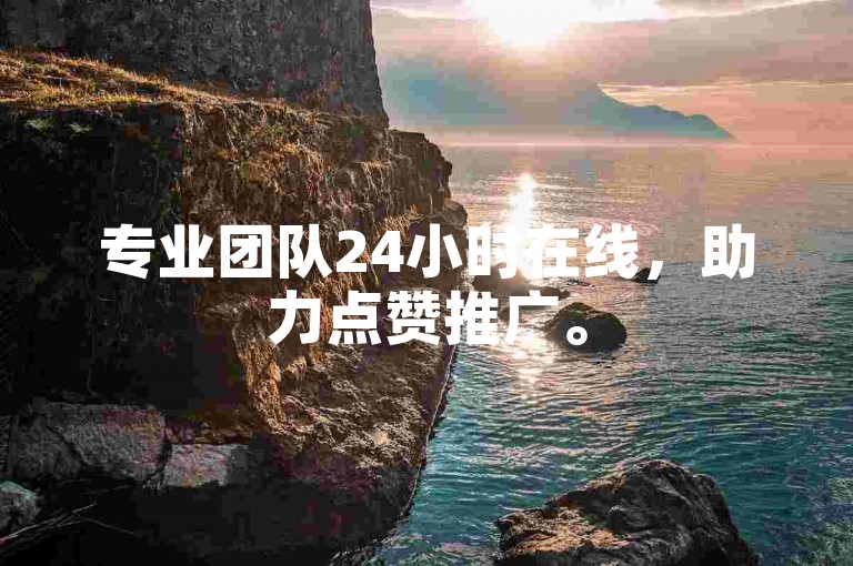 专业团队24小时在线，助力点赞推广。