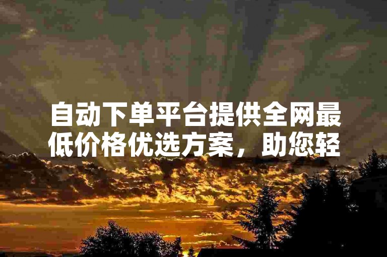 自动下单平台提供全网最低价格优选方案，助您轻松购物。