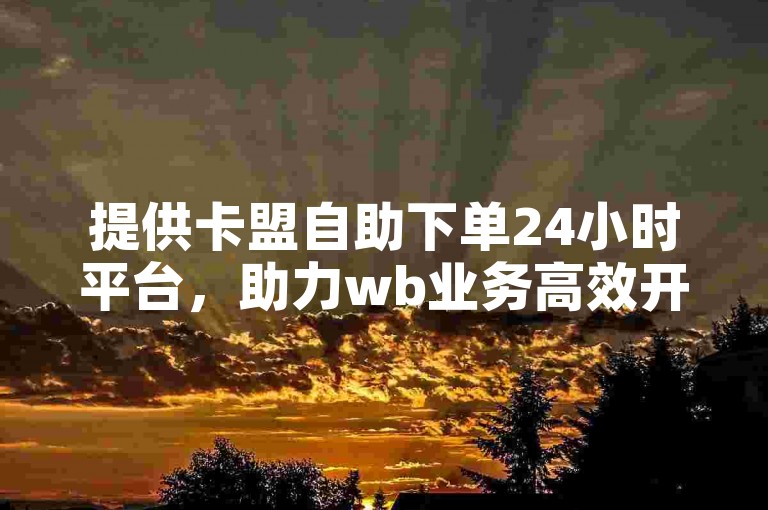 提供卡盟自助下单24小时平台,助力wb业务高效开展。