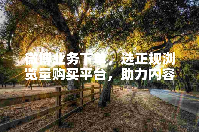 微博业务下单，选正规浏览量购买平台，助力内容推广。