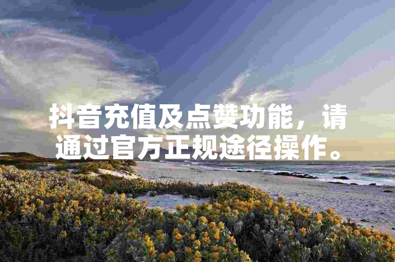 抖音充值及点赞功能，请通过官方正规途径操作。
