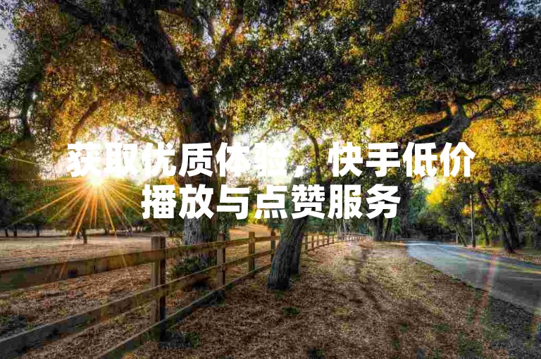 获取优质体验，快手低价播放与点赞服务