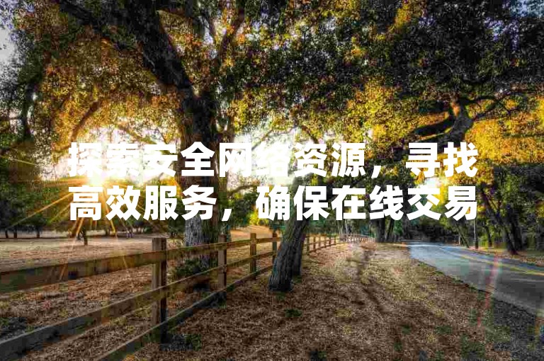 探索安全网络资源，寻找高效服务，确保在线交易无忧。