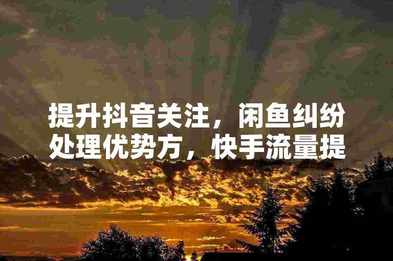 提升抖音关注，闲鱼纠纷处理优势方，快手流量提升技巧