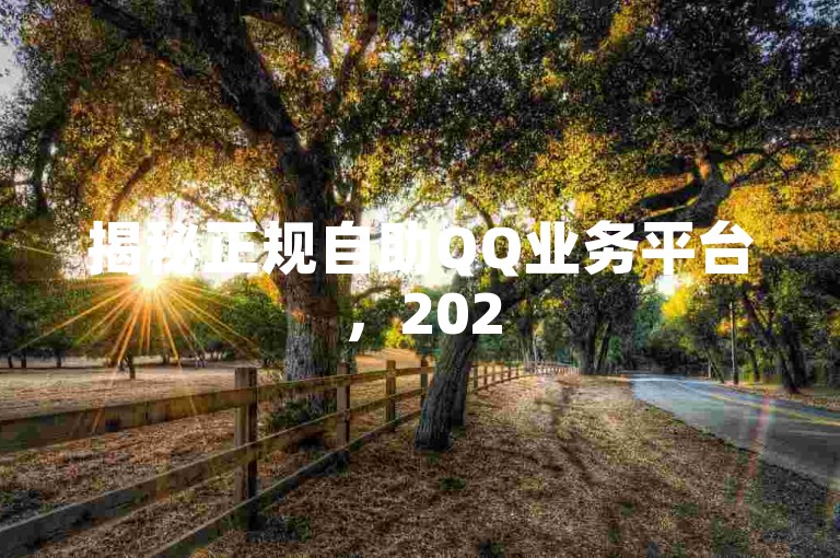 揭秘正规自助QQ业务平台，2025全新操作技巧等你掌握！