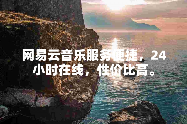 网易云音乐服务便捷，24小时在线，性价比高。