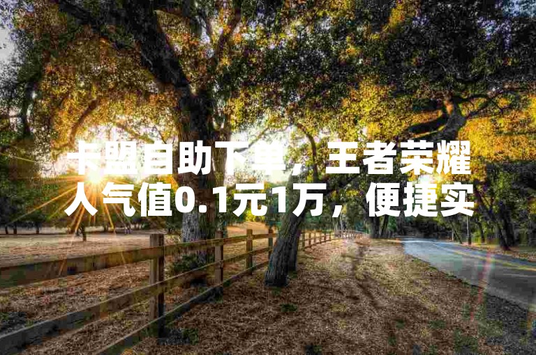 卡盟自助下单，王者荣耀人气值0.1元1万，便捷实惠。