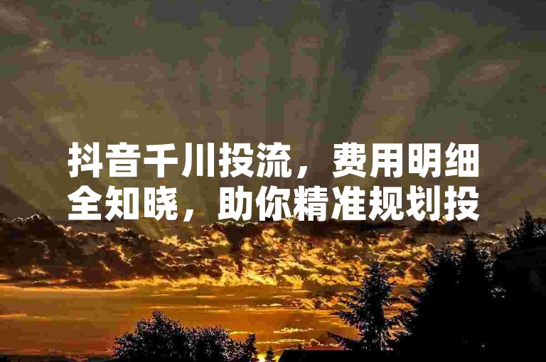 抖音千川投流，费用明细全知晓，助你精准规划投放预算！