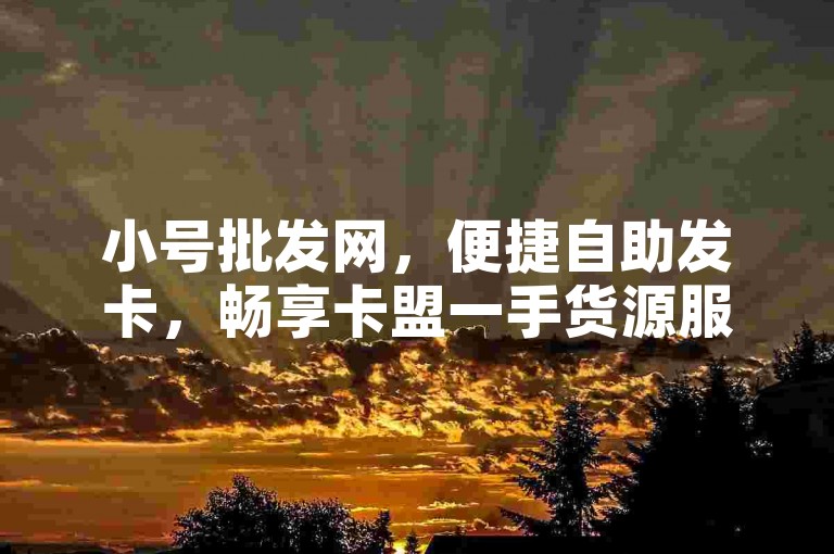 小号批发网，便捷自助发卡，畅享卡盟一手货源服务。