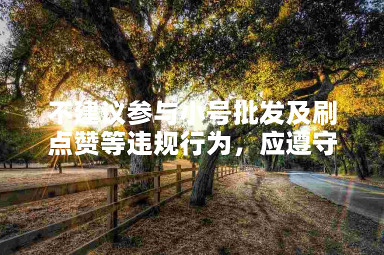 不建议参与小号批发及刷点赞等违规行为，应遵守平台规则。