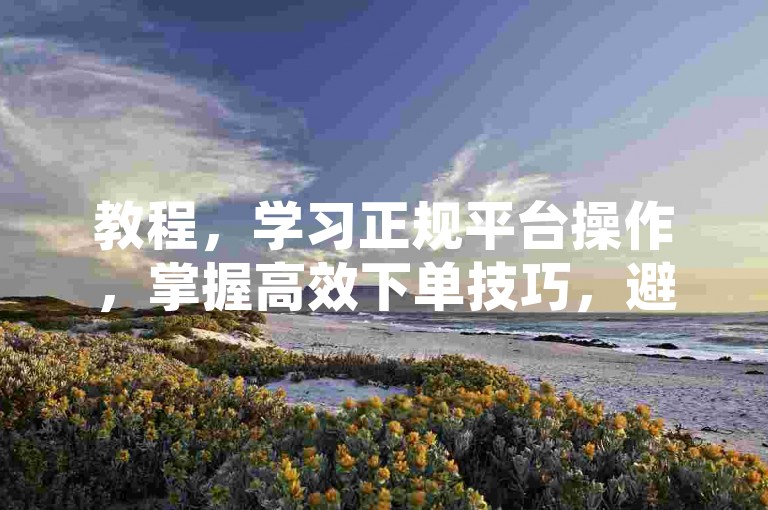 教程，学习正规平台操作，掌握高效下单技巧，避免违规行为。