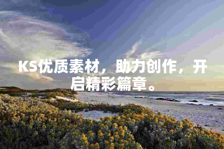 KS优质素材，助力创作，开启精彩篇章。