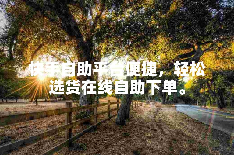 快手自助平台便捷，轻松选货在线自助下单。