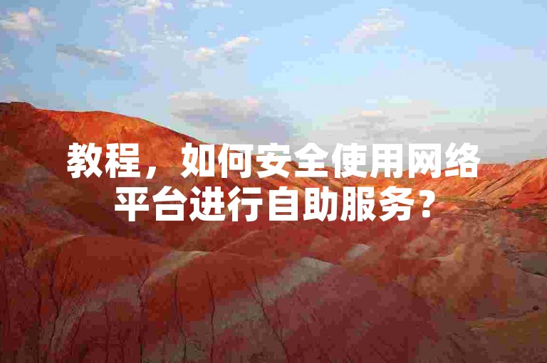 教程，如何安全使用网络平台进行自助服务？