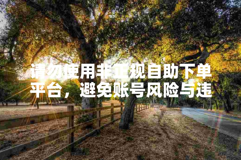 请勿使用非正规自助下单平台，避免账号风险与违规问题。