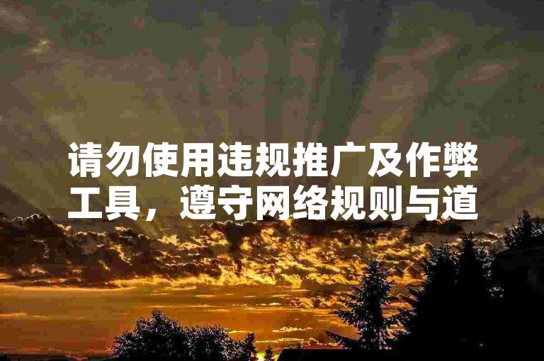 请勿使用违规推广及作弊工具，遵守网络规则与道德。