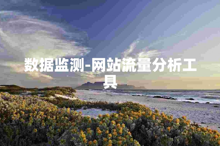 数据监测-网站流量分析工具