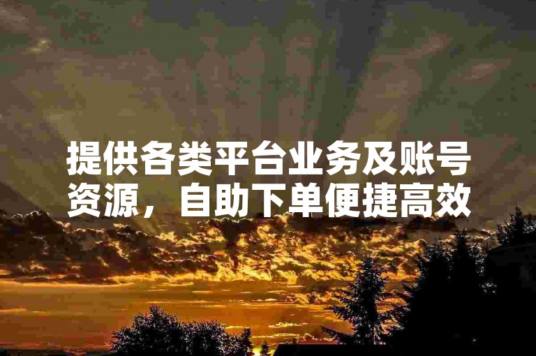 提供各类平台业务及账号资源，自助下单便捷高效。
