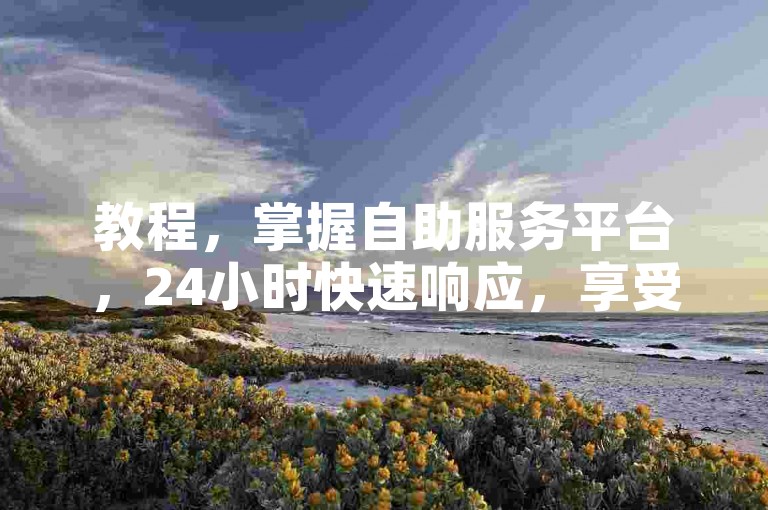 教程，掌握自助服务平台，24小时快速响应，享受便捷低价体验。