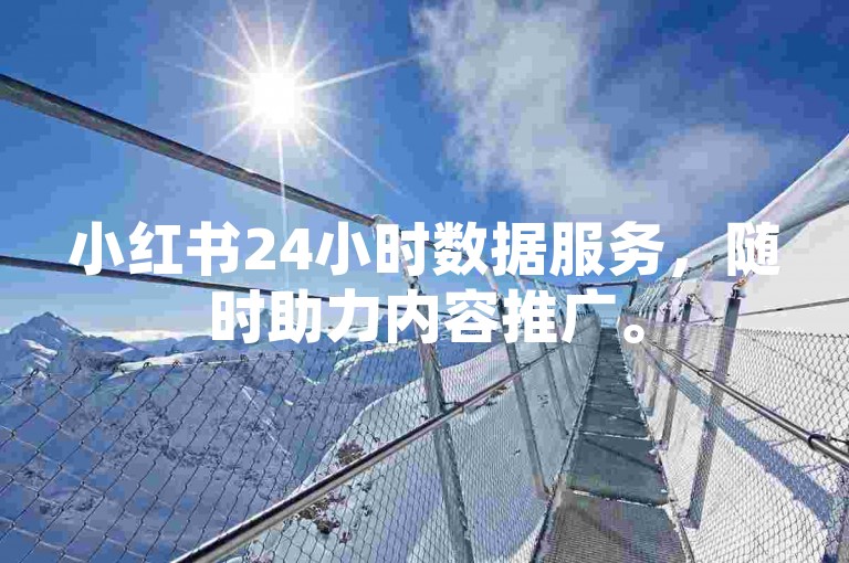 小红书24小时数据服务，随时助力内容推广。